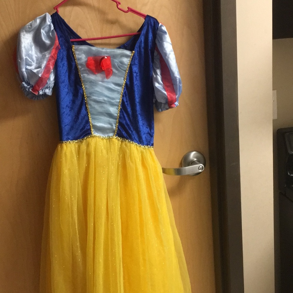 Snow White costume for a adult